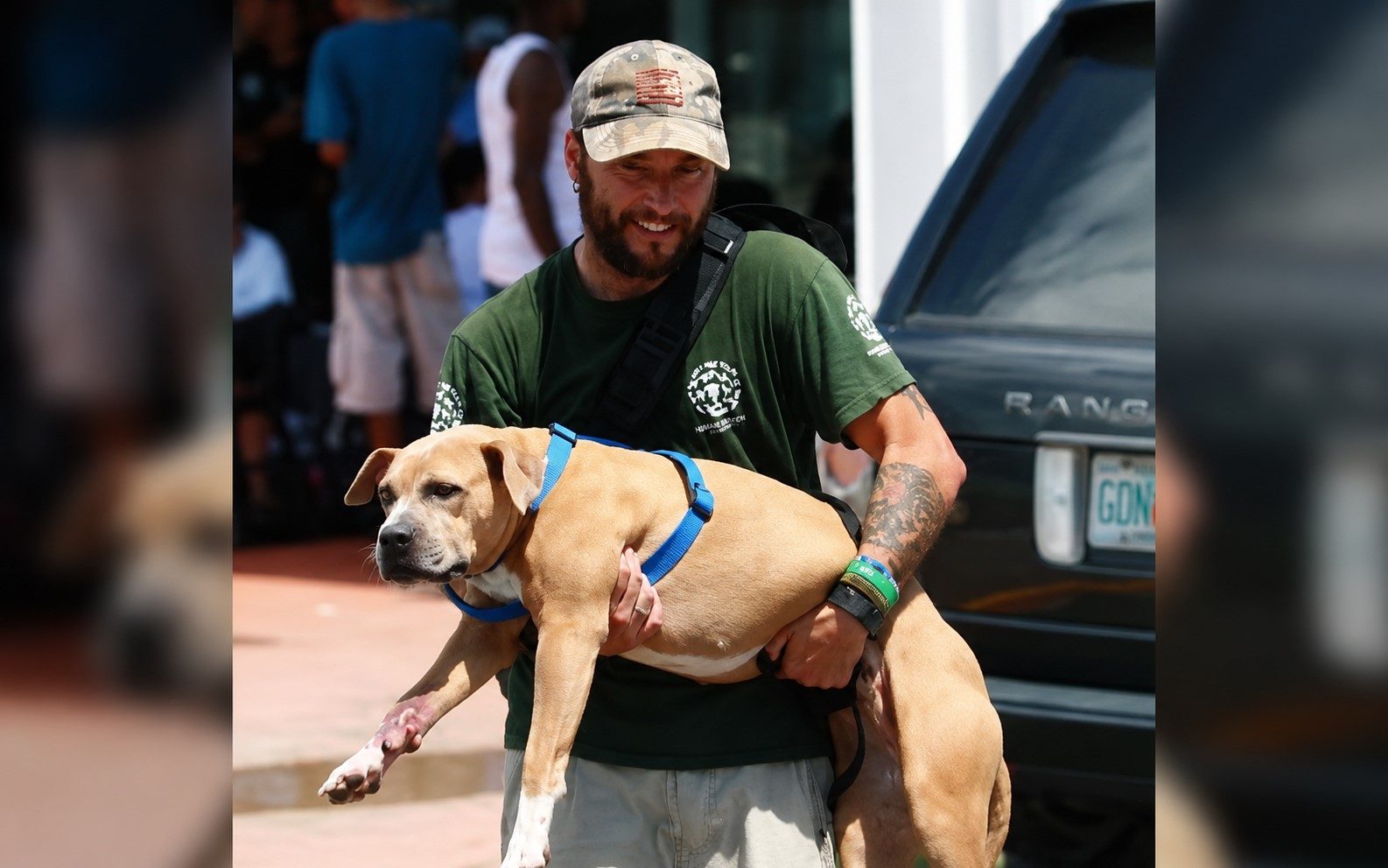 HSI and H/3 Foundation animal rescue in BVI