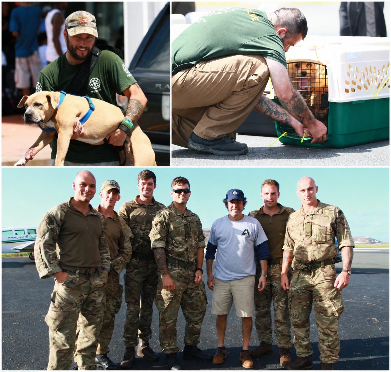 A collage of U.S. Marines and Spencer B. Haber during the BVI animal rescue mission