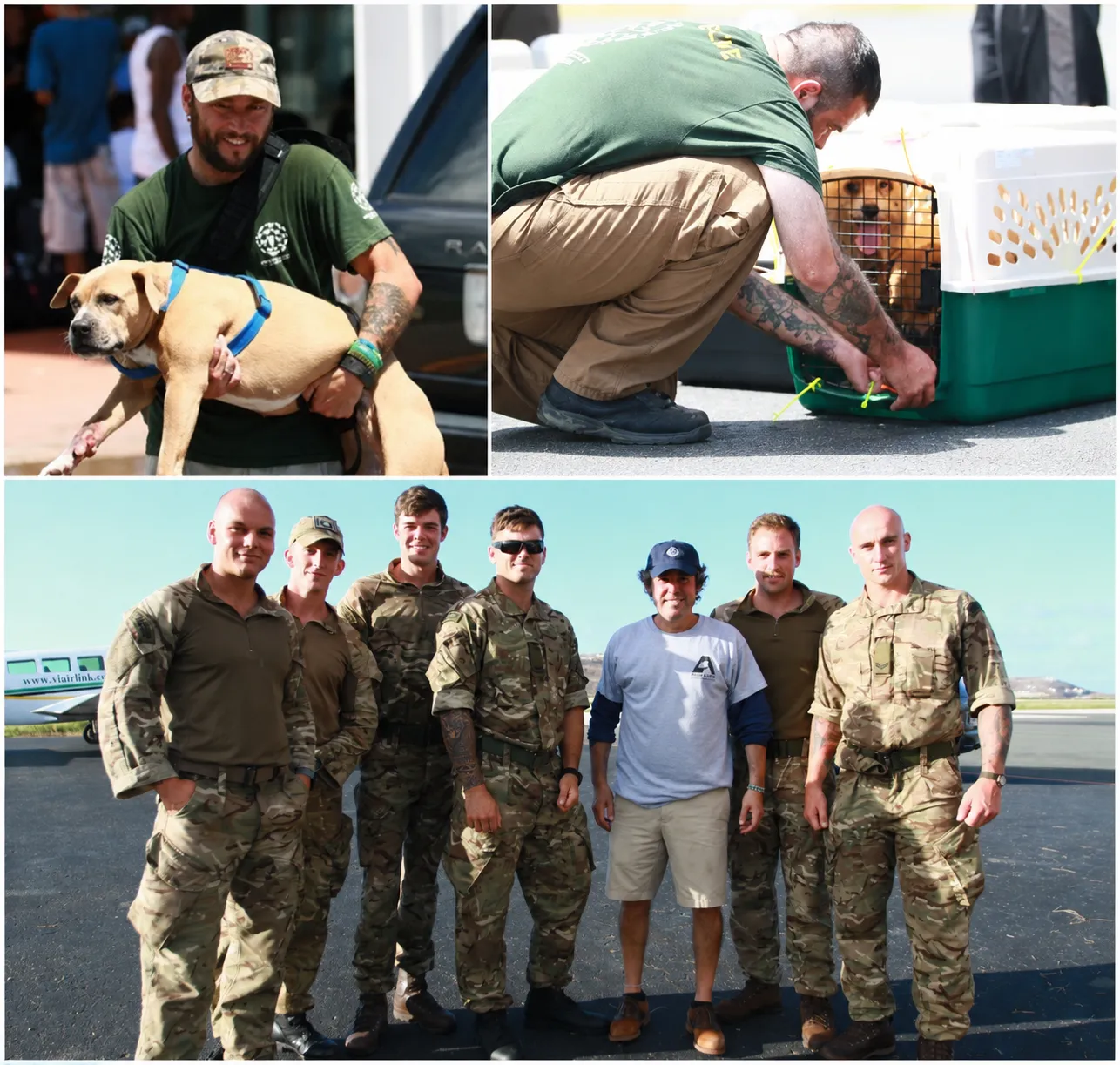A collage of U.S. Marines and Spencer B. Haber during the BVI animal rescue mission