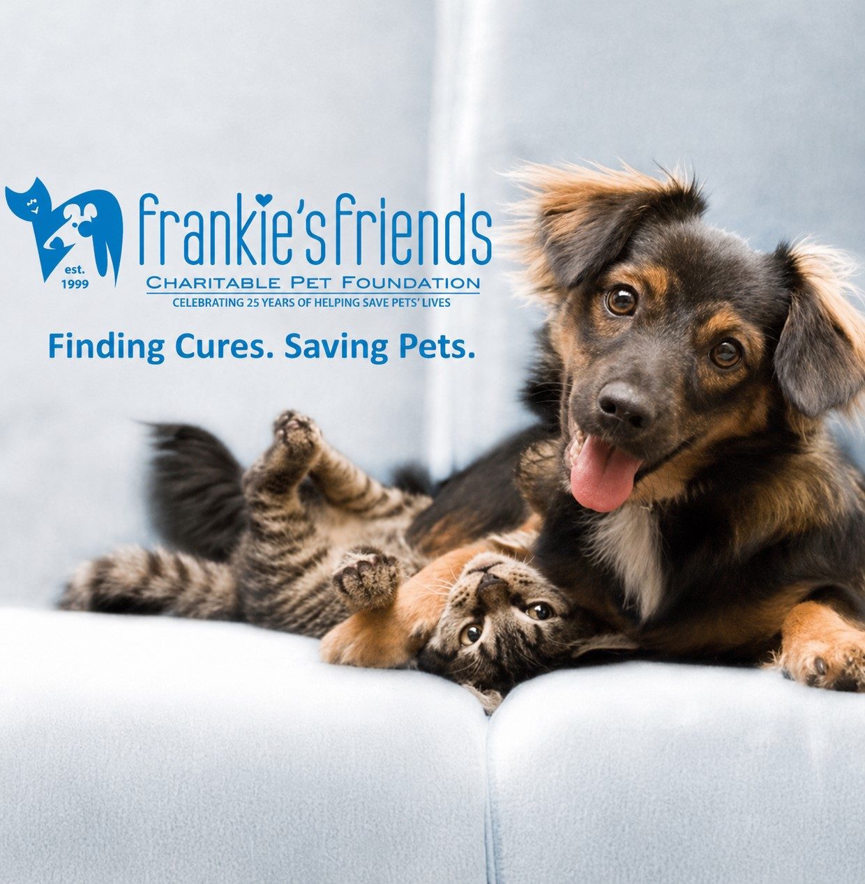 Frankie's Friends Charitable Pet Foundation &ndash; finding cures, saving pets