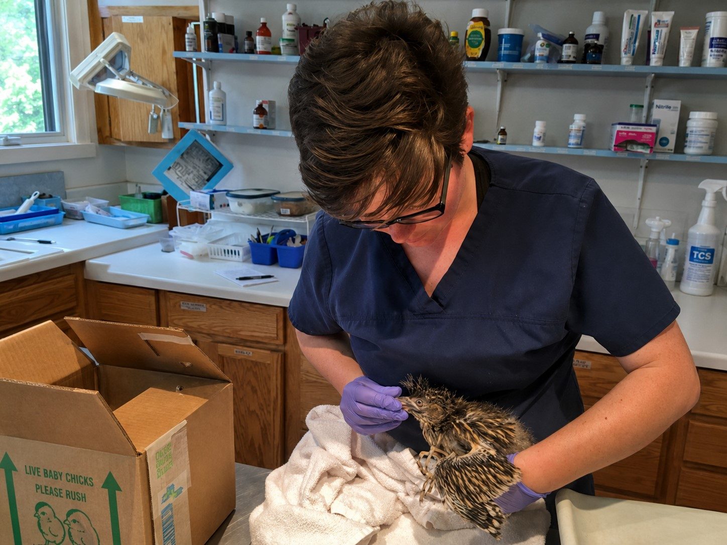 Inside the NMWC wildlife hospital funded in part by H/3 Foundation grants