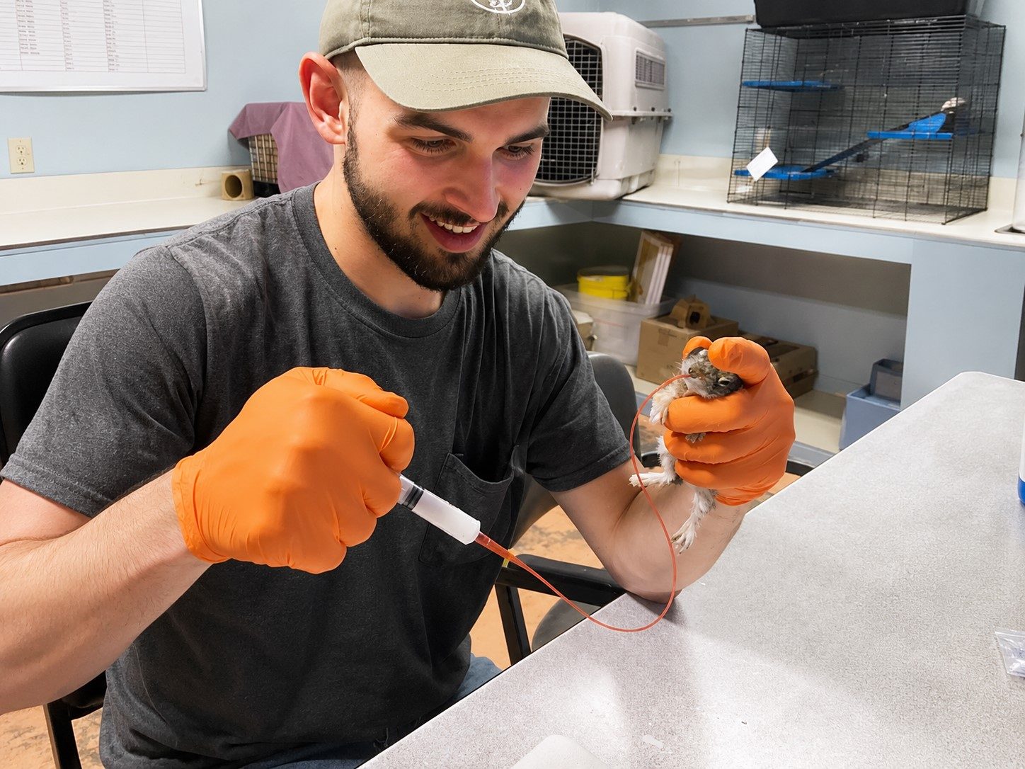 Veterinarians performing a procedure at the NMWC wildlife hospital
