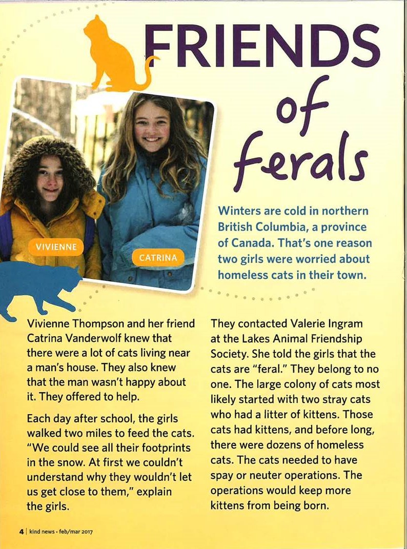 Kind News interior spread &ndash; Friends of Ferals, the story of two students helping a feral cat colony