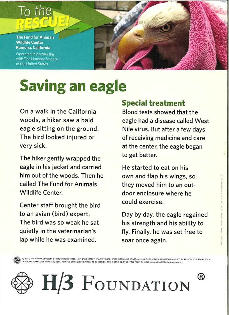 Kind News back cover &ndash; Saving an Eagle, with H/3 Foundation seal