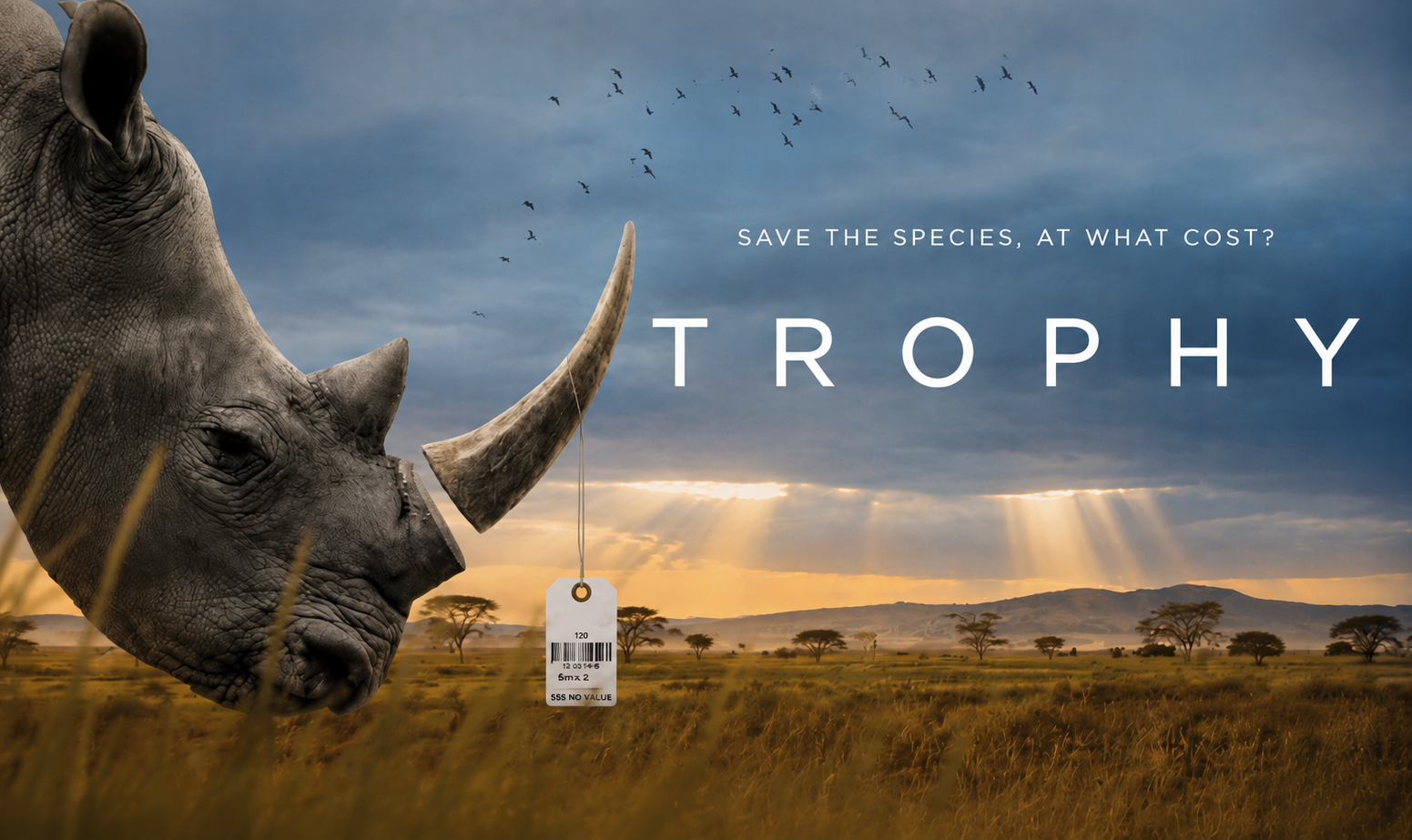 Trophy review on IndieWire