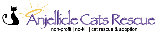 Anjellicle Cats Rescue