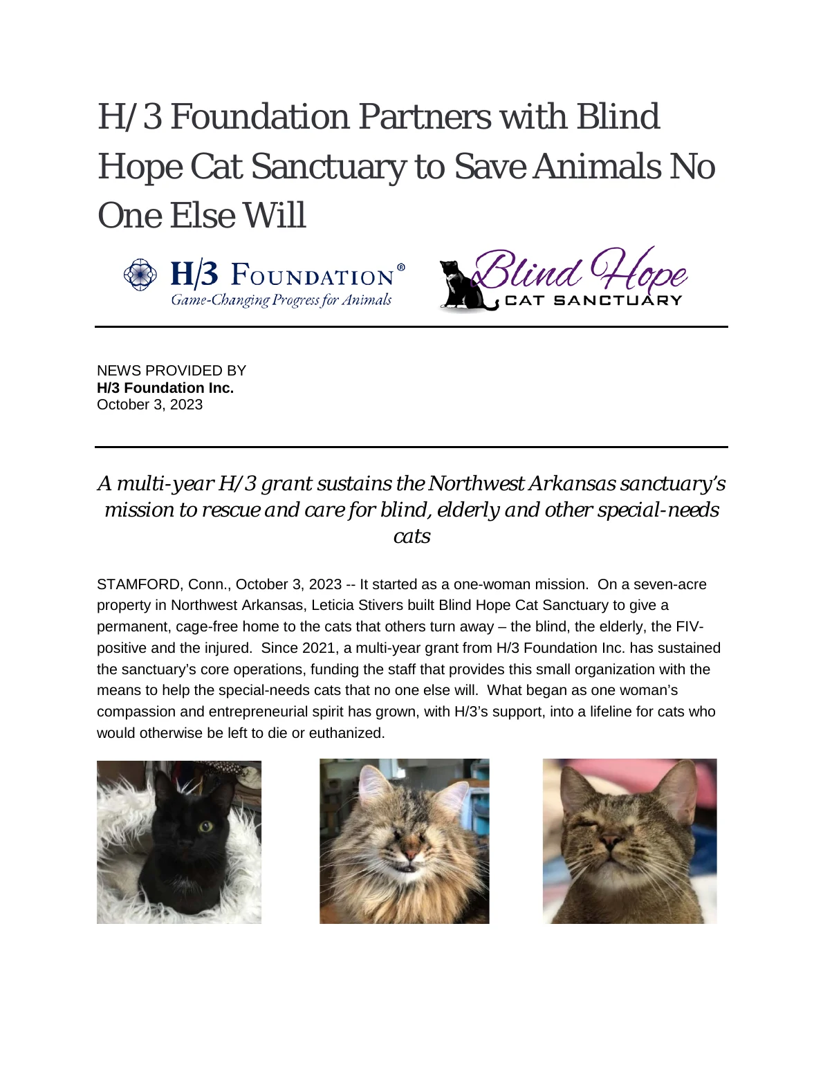 H/3 Foundation Partners with Blind Hope Cat Sanctuary to Save Animals No One Else Will - page 1