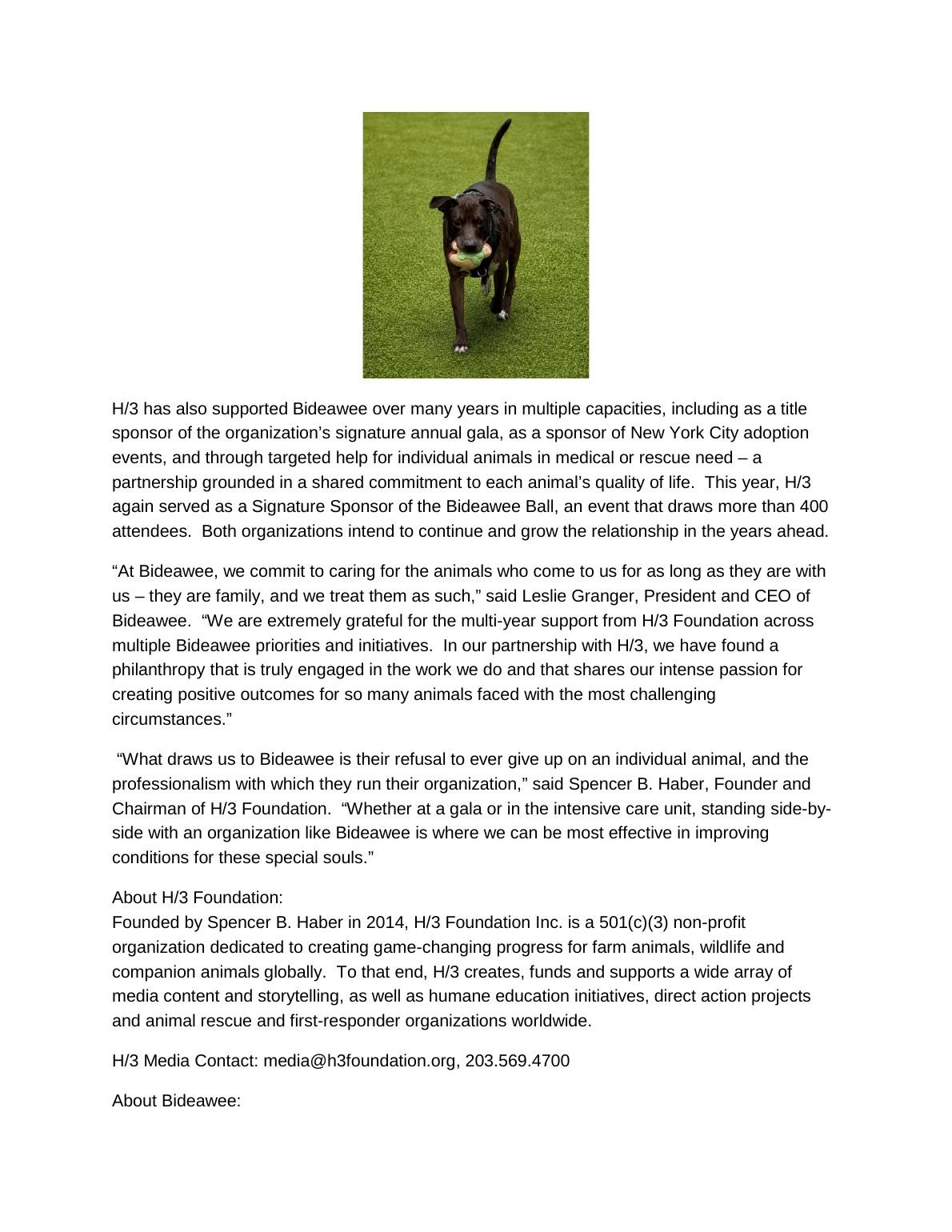 H/3 Foundation and Bideawee Deepen Their Partnership to Give a Dog Named Kobe a Second Chance - page 2